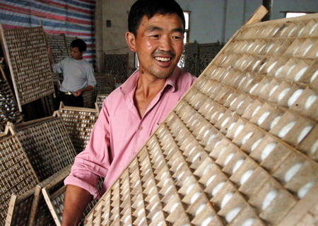 组图:桑蚕养殖富农家 (2)