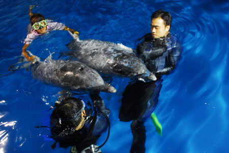 组图:南京海底世界海豚馆迎来未来之星