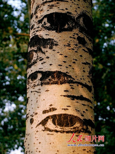 组图:目送秋天之北京2007 (6)