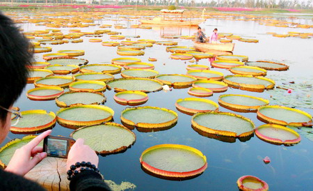 组图:迷人的苏州湿地公园秋季美景