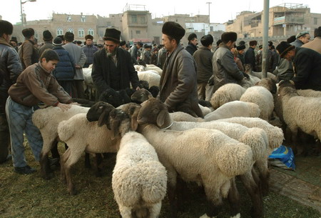 组图:新疆穆斯林群众欢度古尔邦节 (7)
