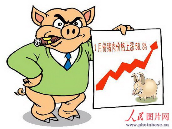 漫画:1月份猪肉价格上涨58.8%