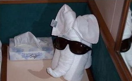 组图:叠毛巾的最高境界 (3)--图片--人民网