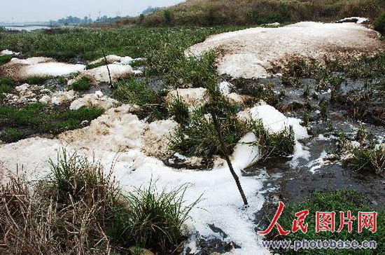江西永修:小造纸厂肆意排放废水 (2)