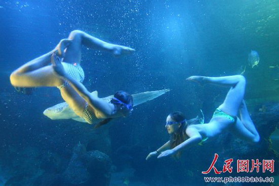 俄罗斯花样游泳队福州演绎水下芭蕾 (2)