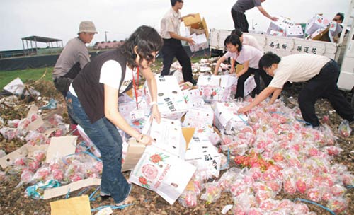 台卫生部门销毁60箱越南进口含农药火龙果