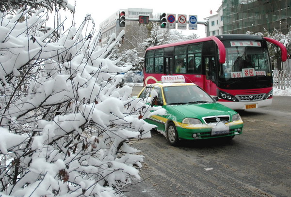 吉林梅河口:大雪压境路难行 (3)