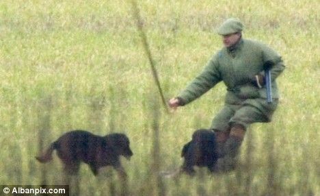 英国王子用木棍追打猎犬遭批评