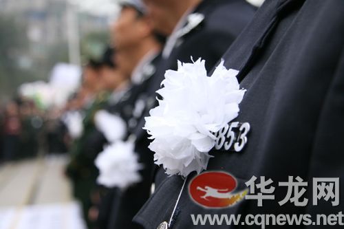 铁血网提醒您:点击查看大图