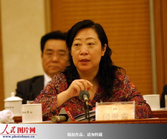 北京团审议两高报告 建议法院发挥作用保护暂