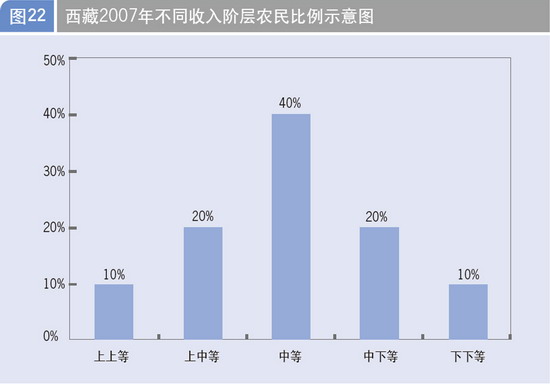 西藏2007年不同收入阶层农民比例示意图