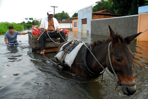 巴西水灾已造成40多人死亡