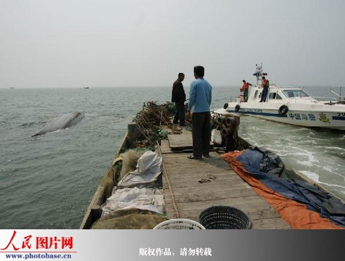 组图:辽宁东港海域发生渔船相撞事故 (3)