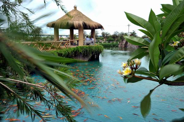 污水处理池养鱼 废水灌溉绿化