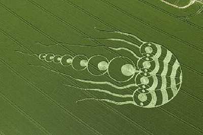 英国发现水母图案麦田怪圈 好似神秘生物入侵