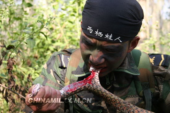 组图:中国海军陆战队两栖蛙人队进行生理极限