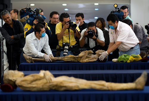 圖為8月31日工作人員在墨西哥博物館擺放木乃伊展品。