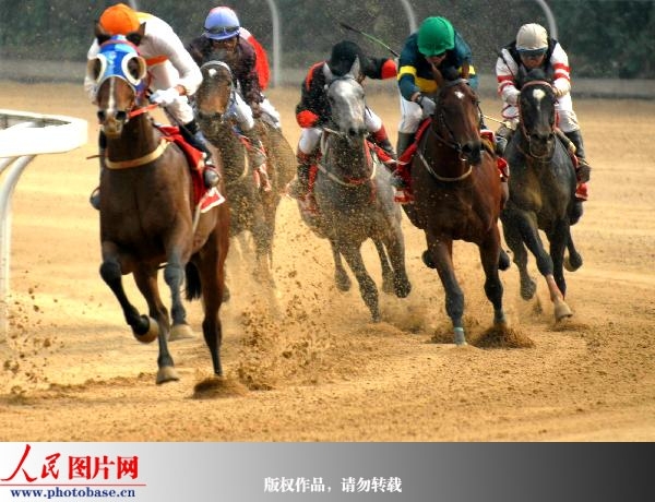 组图:中国金牌骑师邀请赛武汉拉开序幕