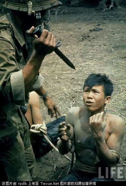 南越军人拿刀子威胁<em>越共战俘</em>