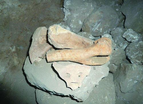 神秘溶洞发现大量骨骸 村民称其狐仙洞 (2)