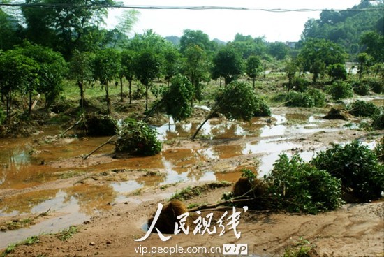江西超过27万人遭受洪灾 损失超亿元 (5)