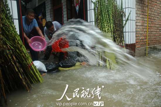 组图:河南淮阳遭遇40年一遇罕见强降雨袭击