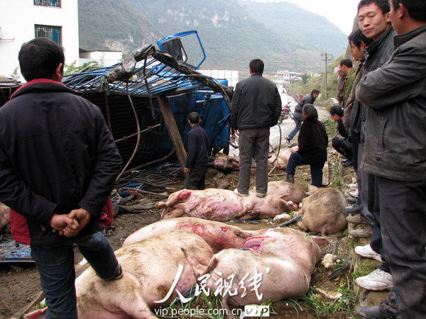 贵州桐梓:一运猪车坠下悬崖 导致两死两伤 (3)