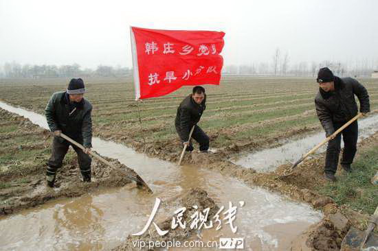 河南汤阴:党员抗旱服务队助农在田间