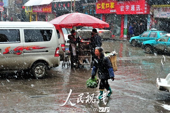 云南镇雄:遭遇大雪天气部分农作物受损