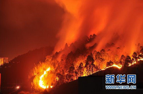 广东惠州学院附近突发山火 火情还在继续蔓延