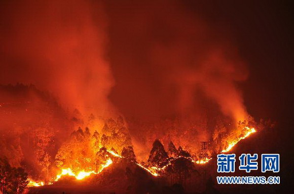广东惠州学院附近突发山火 火情还在继续蔓延