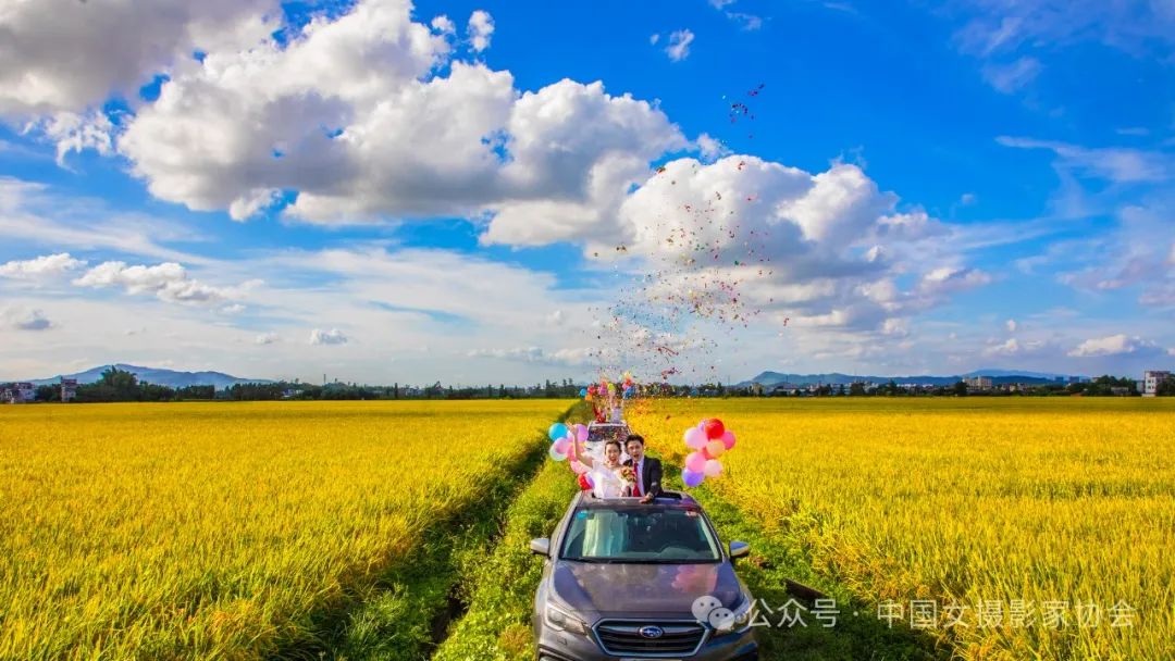 《稻香欢语》 龚婉芳 摄