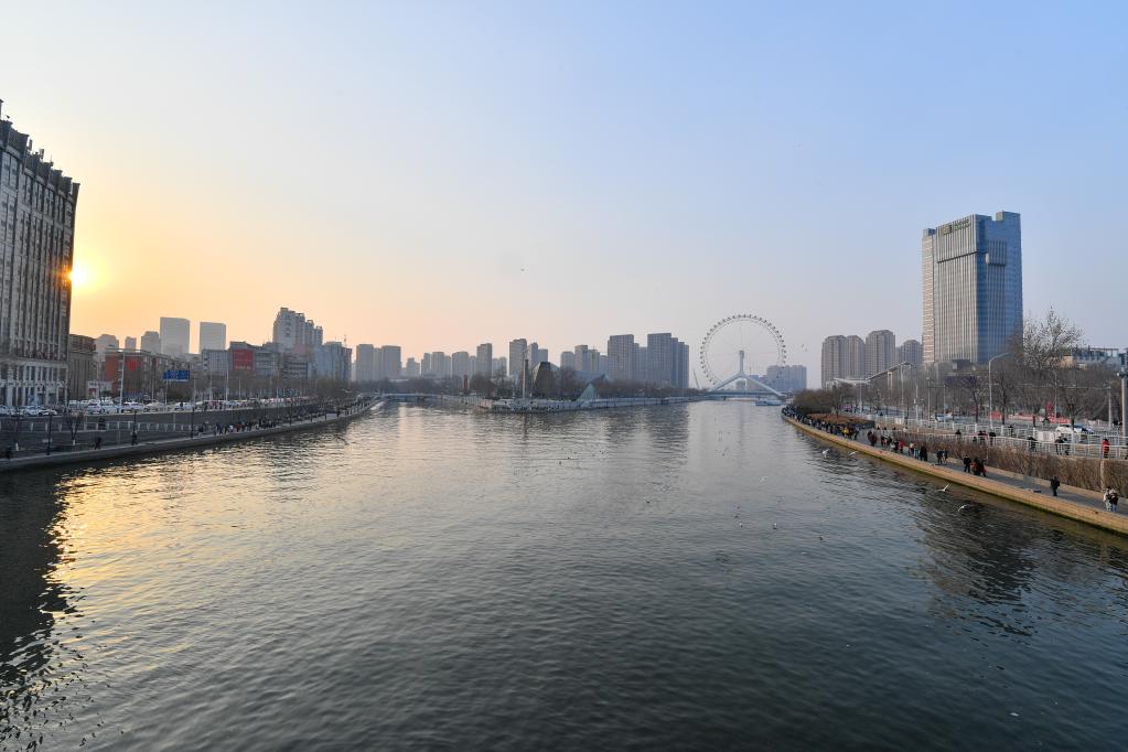 因河而生 因河而盛——天津傳承千年大運河文化再續輝煌