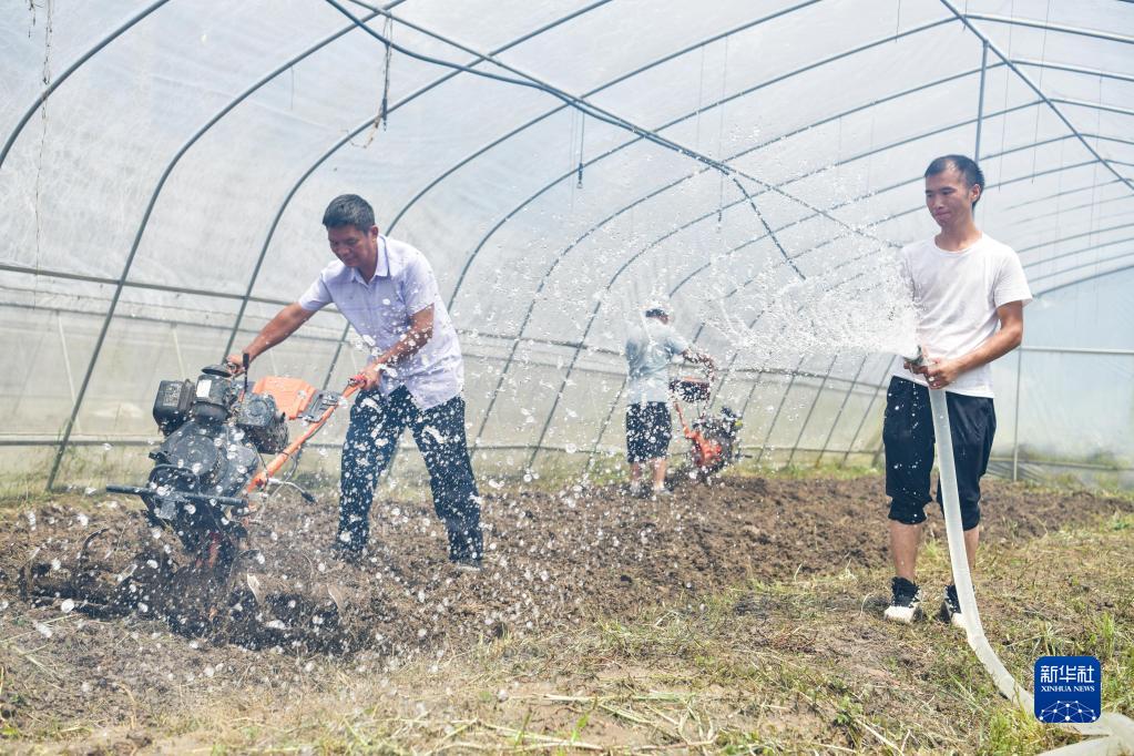 8月25日，在遵义市务川县分水镇过江社区，村民在进行秋耕补种。新华社记者 杨文斌 摄