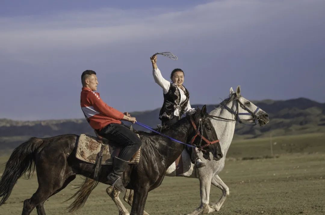 《策马扬鞭》张金文