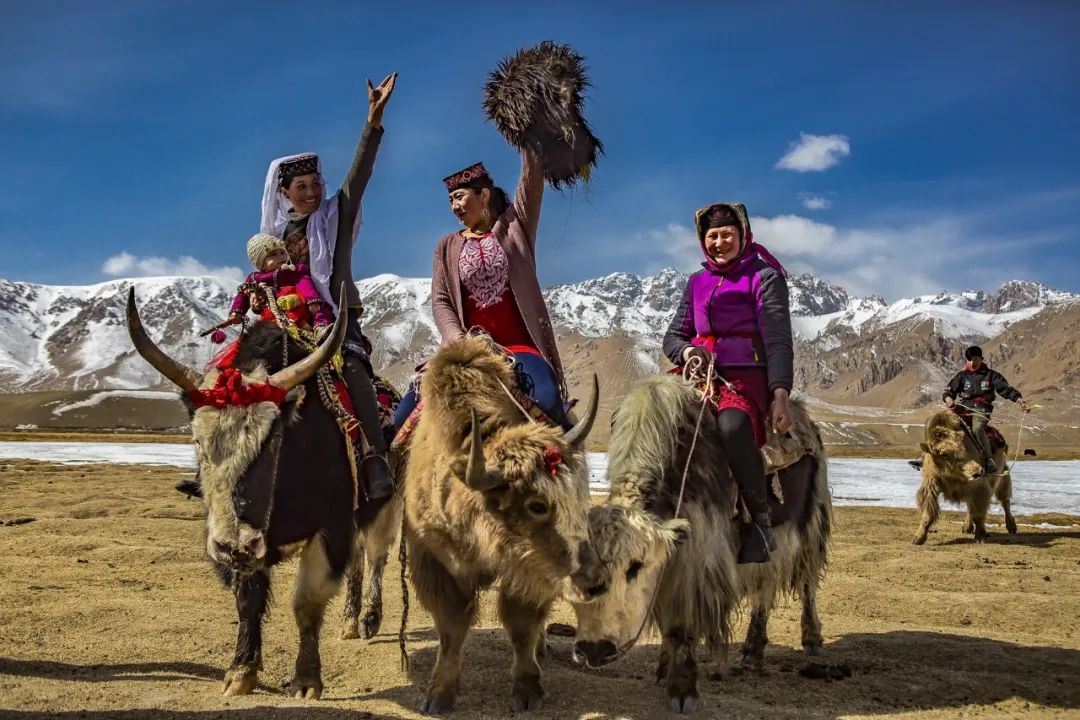 《高原乐趣》马琳
