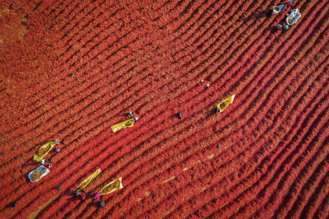 《火红的生活》沙广春