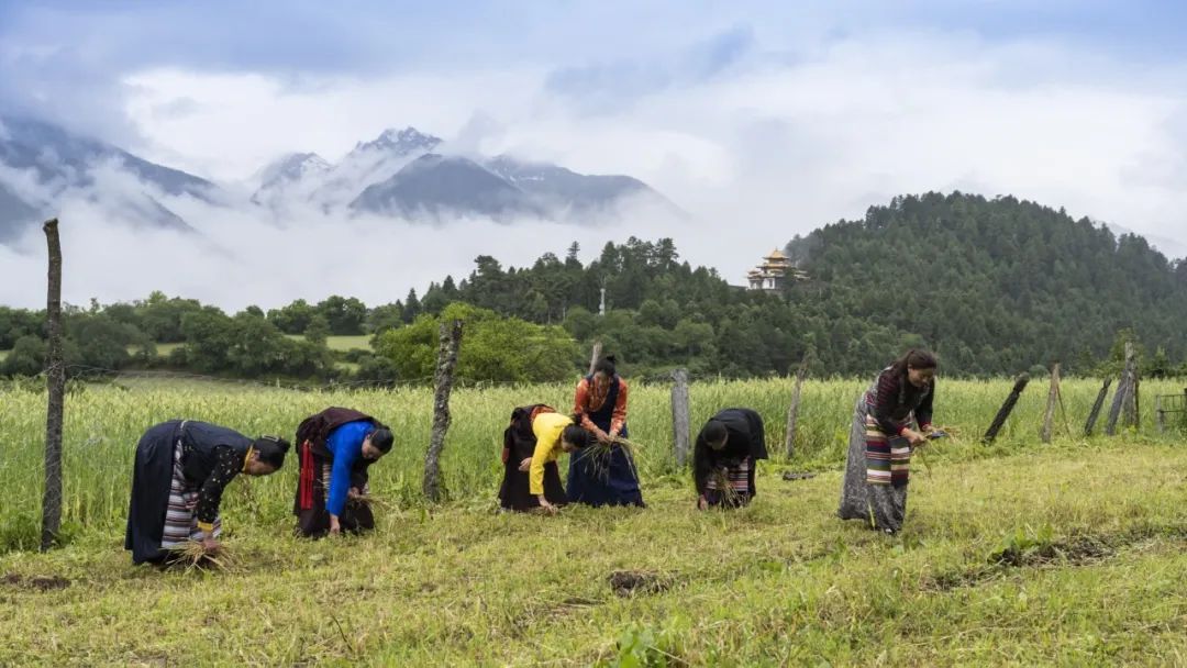 《颗粒归仓》朱晋华