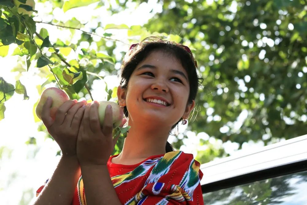 《摘苹果的小姑娘》赵欣