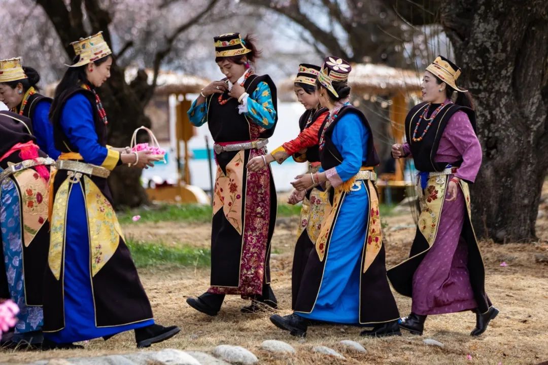 《盛装出行》胡梅丹