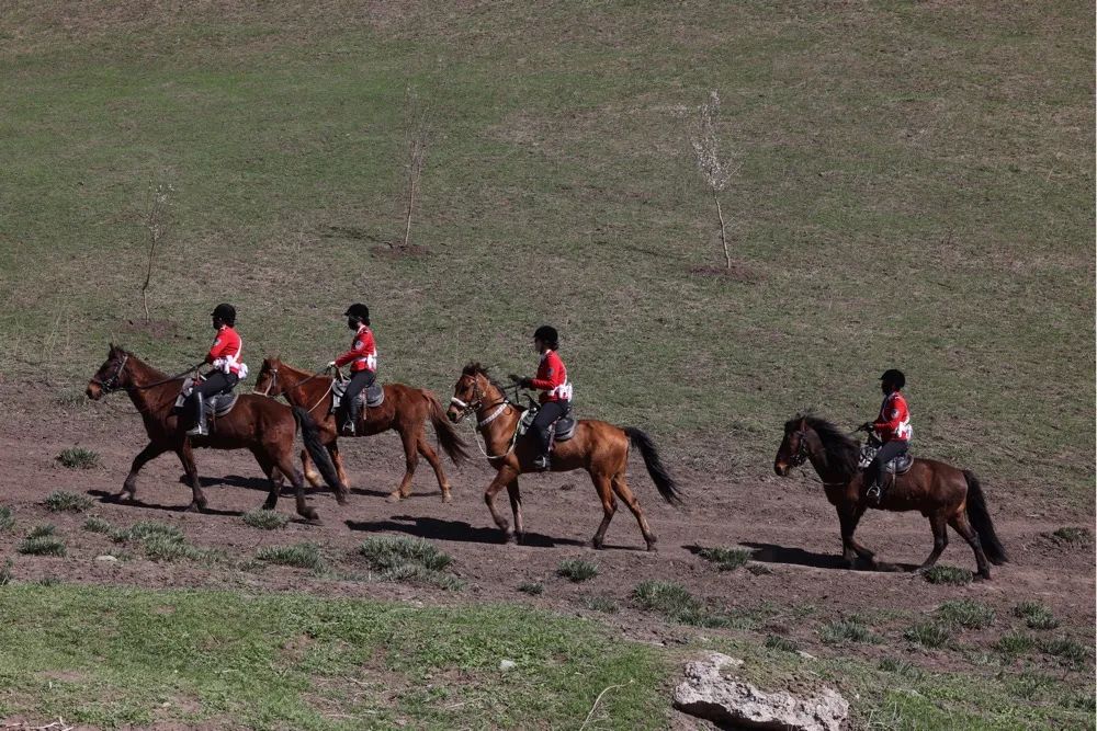 《巾帼巡逻队》李志红