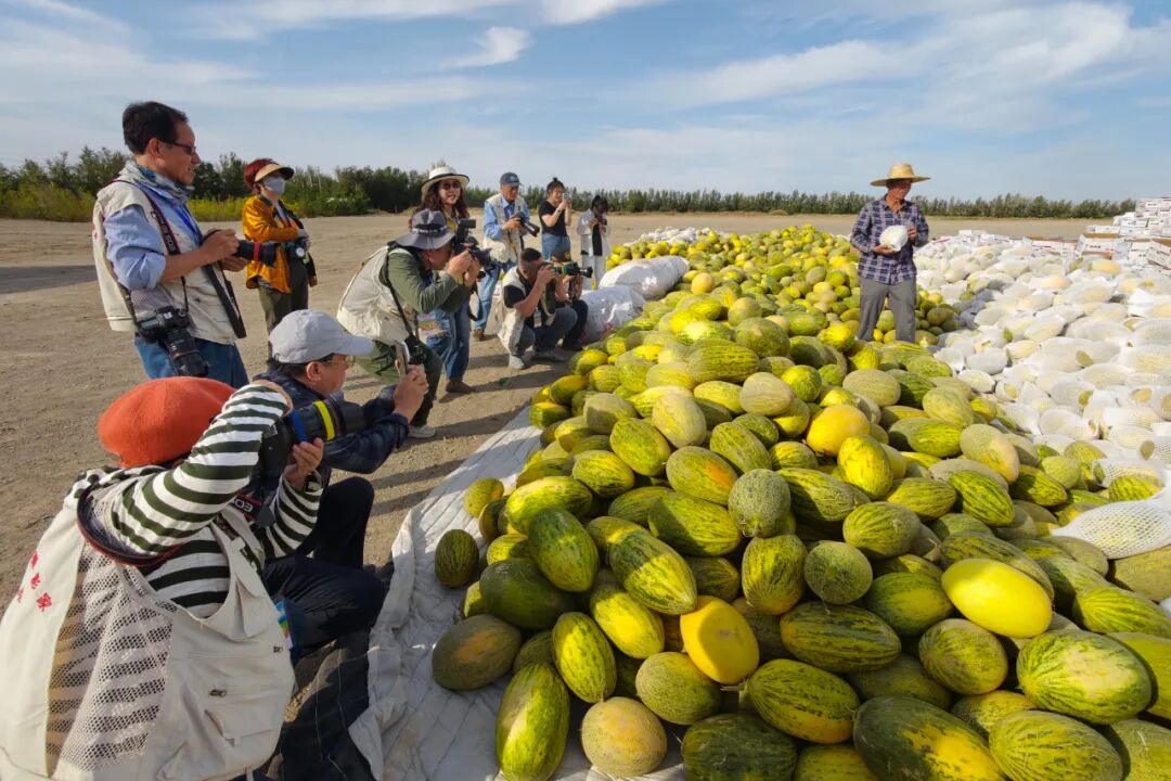 摄影家们专注创作