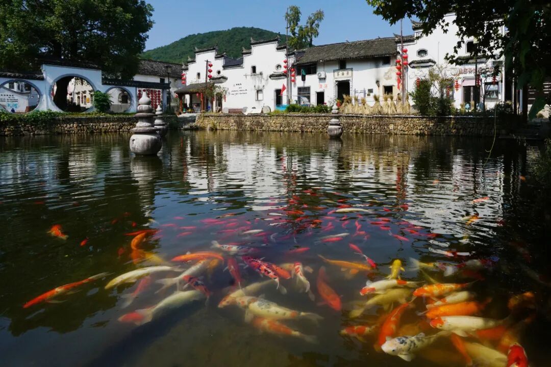 《欢愉》廖丽珊 摄