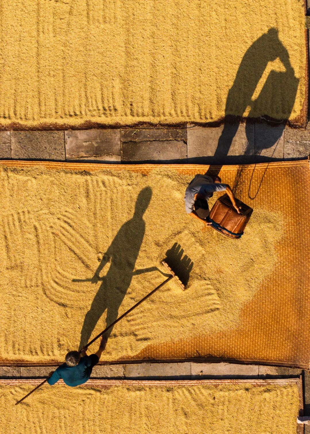 《岁月如金》 卢虹摄影